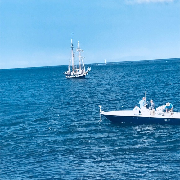 Meet your Posher, Najeé - Picture 3 of 6